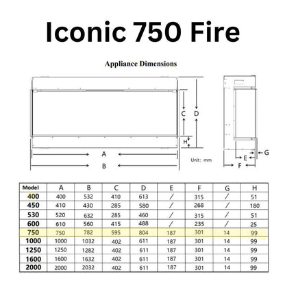 Iconic 750 Electric Fire